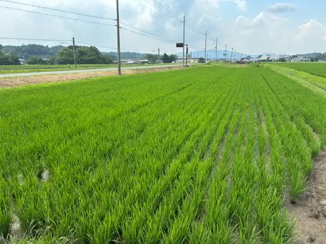 イントロ画像